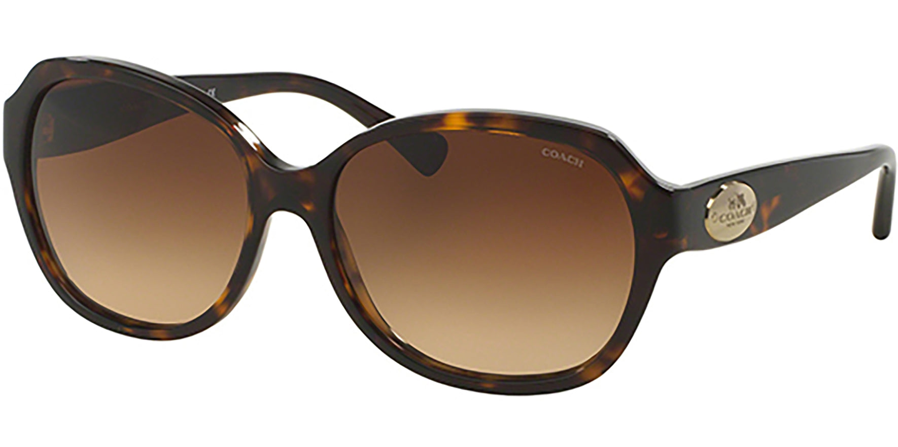 Coach Dark Tortoise Oval w/ Gradient Lens - Eyedictive