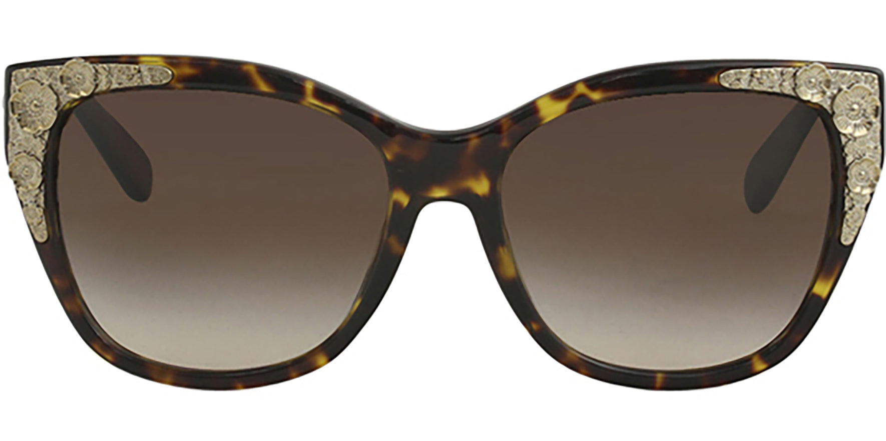 Coach Squared Cat-Eye w/ Metallic Adornment - Eyedictive