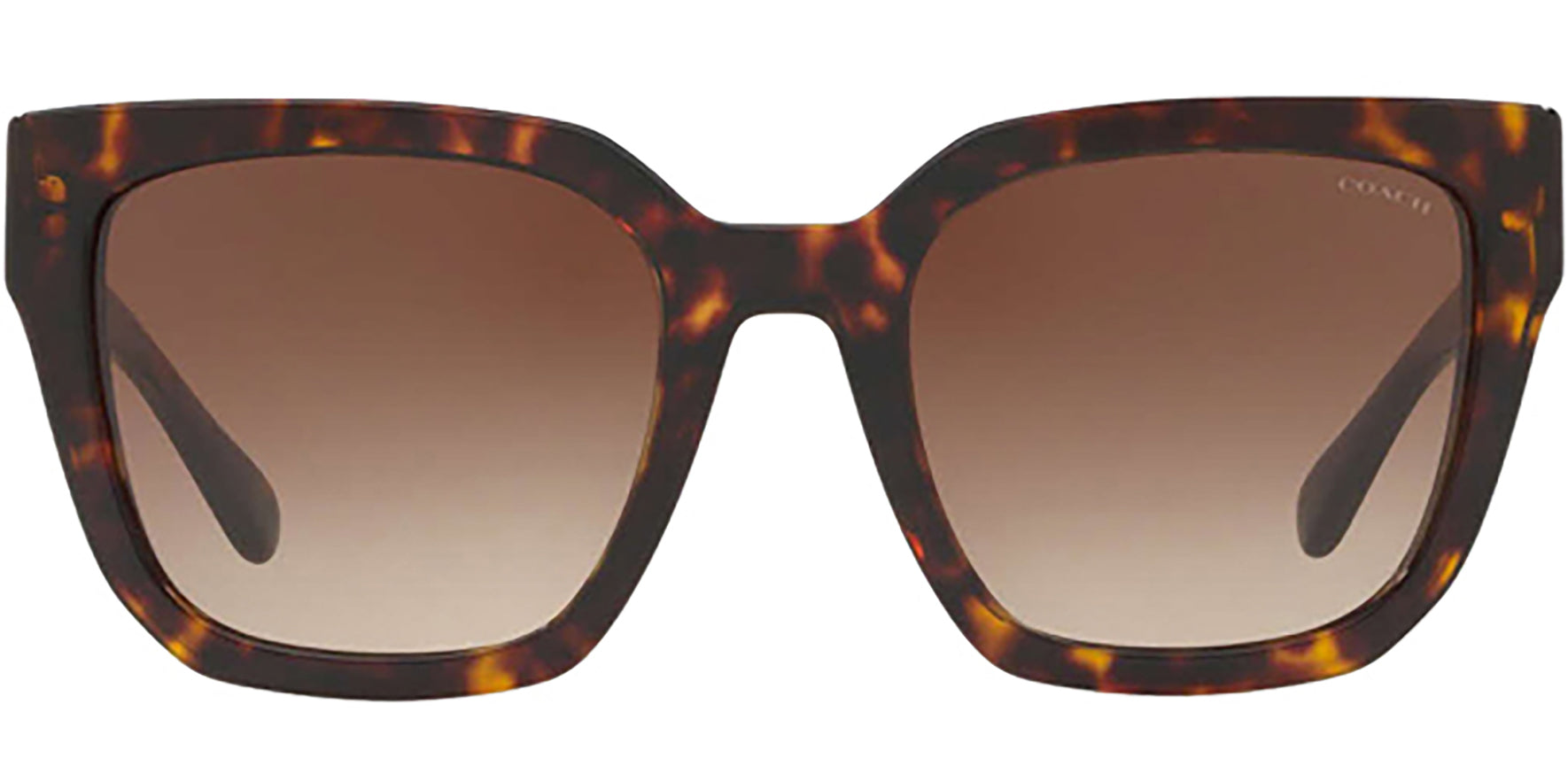 Coach Square Sunglasses w/ Gradient Lens - HC8249 - Eyedictive