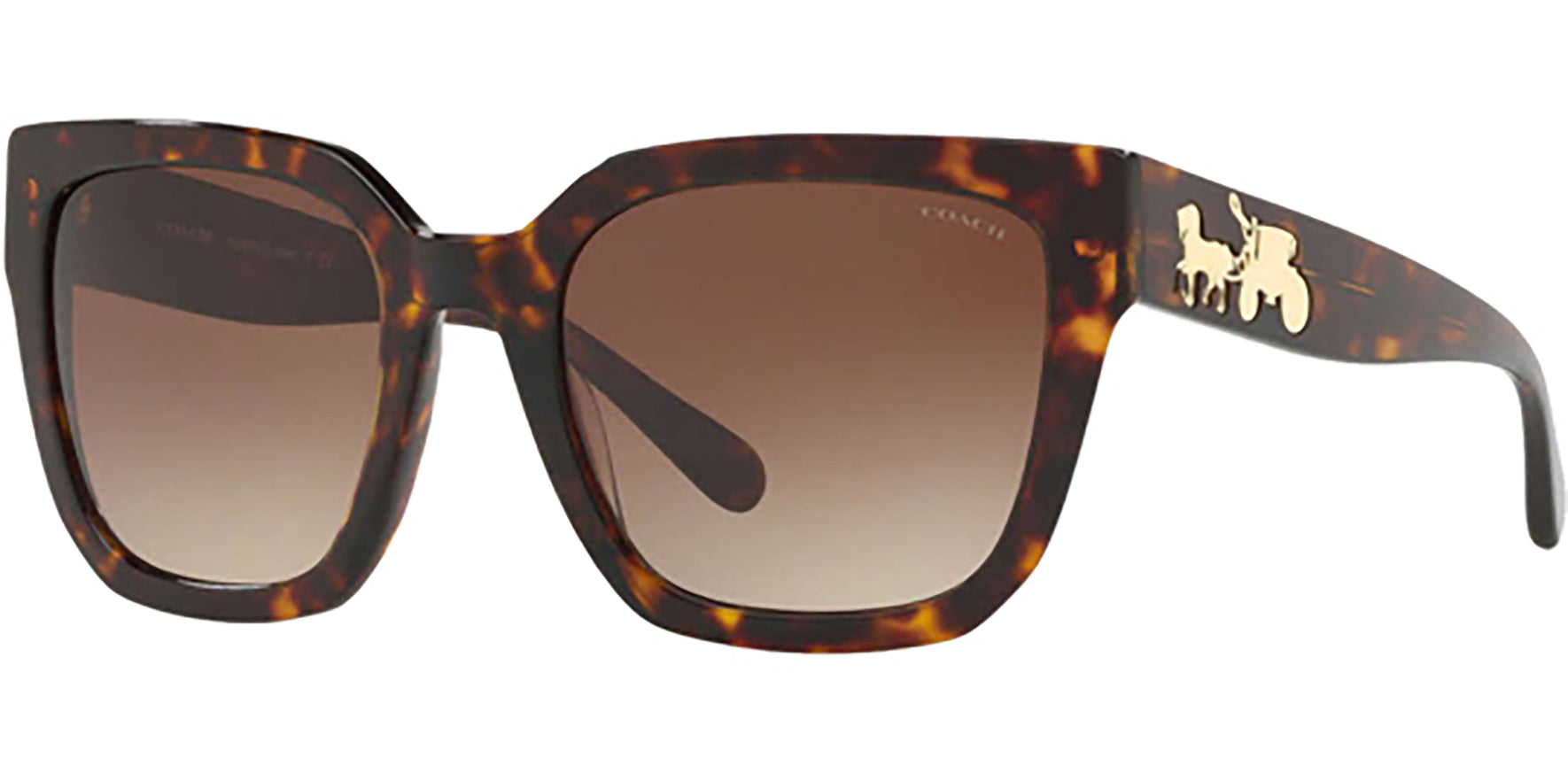 Coach Square Sunglasses w/ Gradient Lens - HC8249 - Eyedictive