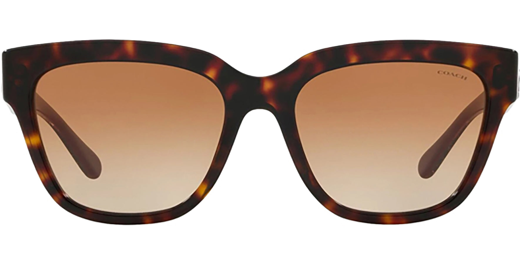 Coach Square Classic w/ Gradient Lens - Eyedictive