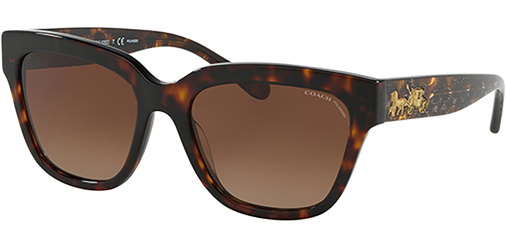 Coach Polarized Tortoise Square - Eyedictive