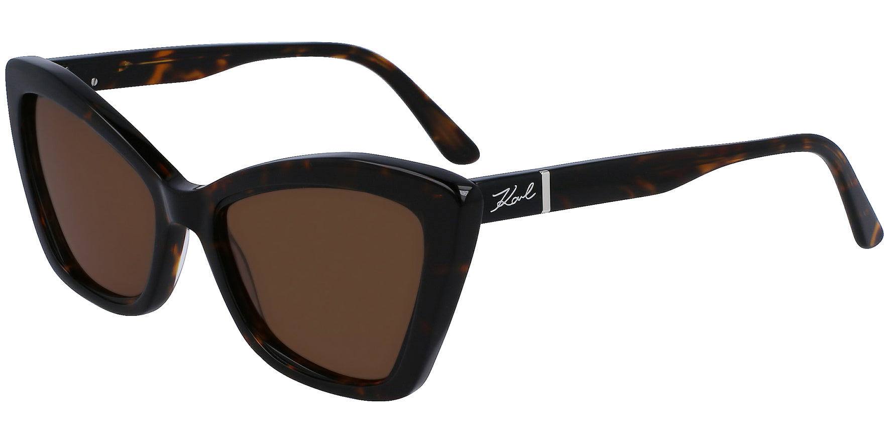 Karl Lagerfeld Retro-Style Cat Eye - Eyedictive