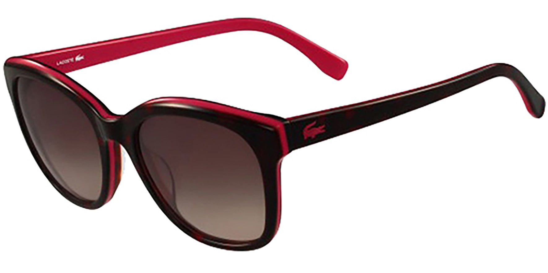 Lacoste Two-Tone Rounded Cat-Eye - Eyedictive