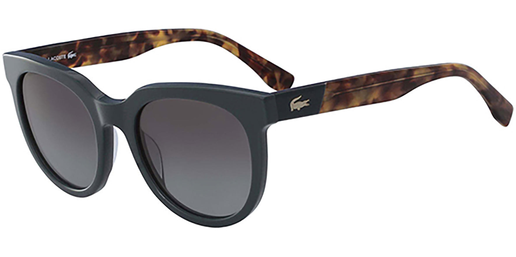 Lacoste Sage Tortoise Rounded Cat-Eye - Eyedictive