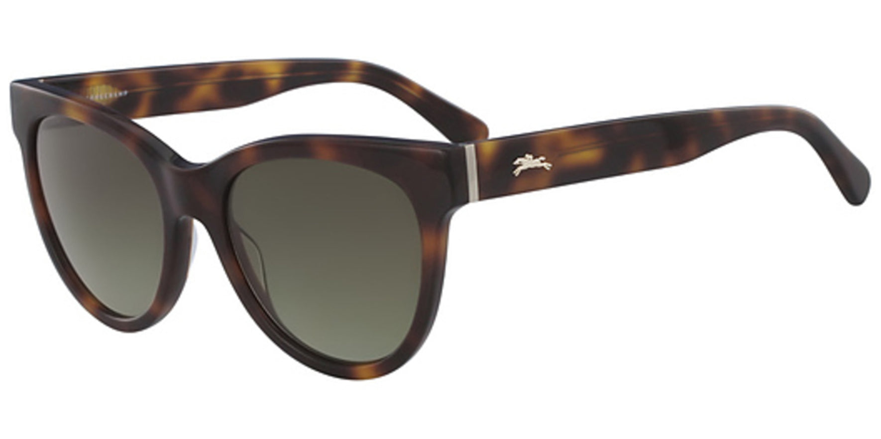 Longchamp Chunky Round Cat Eye w/ Gradient Lens - Eyedictive