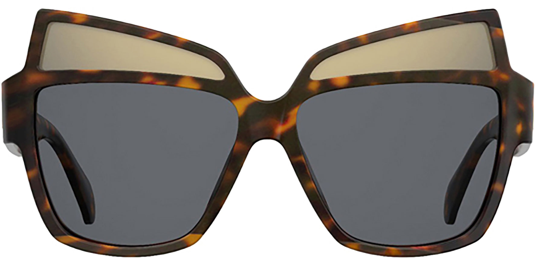 Moschino Dark Havana Oversize Butterfly Cat Eye - Eyedictive