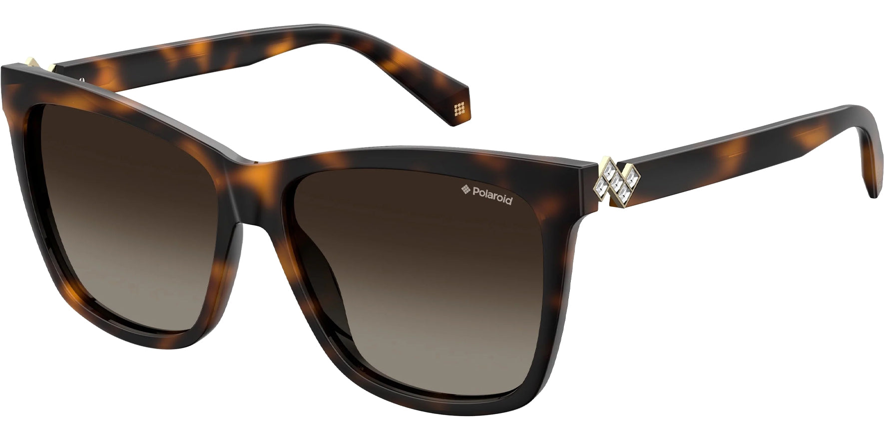 Polaroid Polarized Dark Havana Cat Eye - Eyedictive