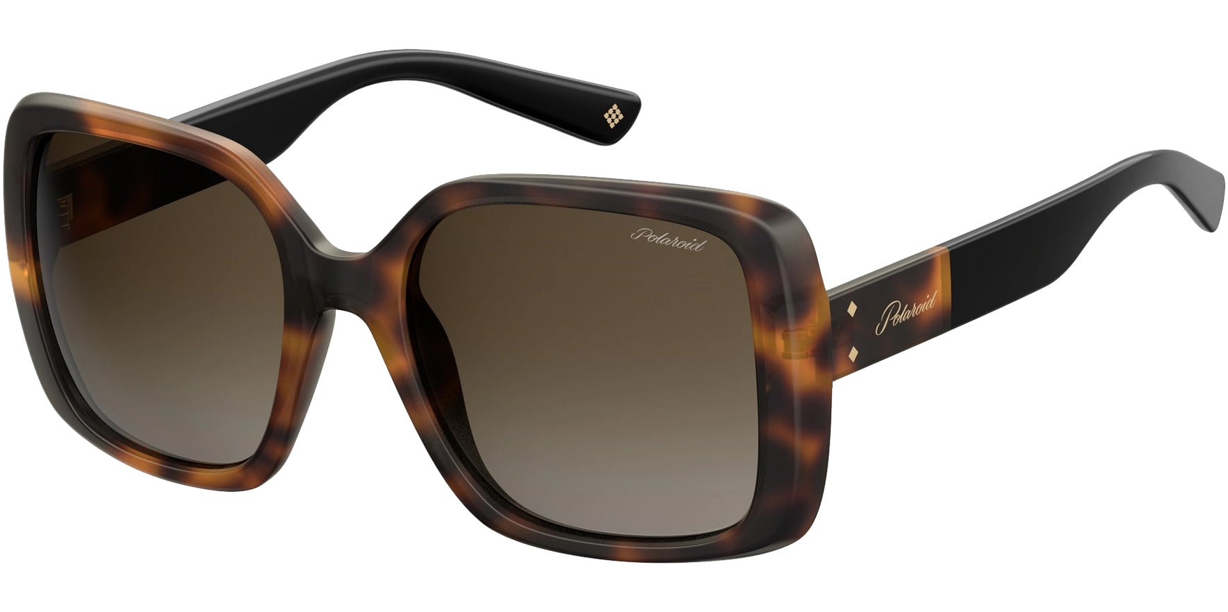 Polaroid Polarized Havana Squared Butterfly - Eyedictive