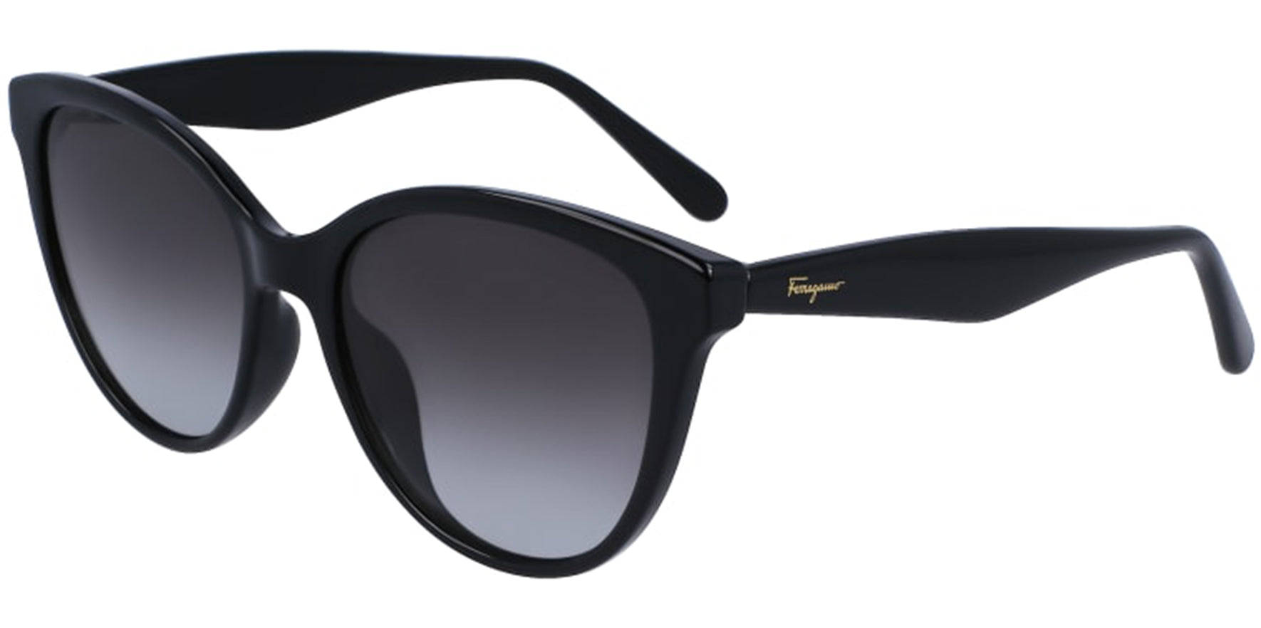 Salvatore Ferragamo Rounded Cat Eye w/ Gradient Lens