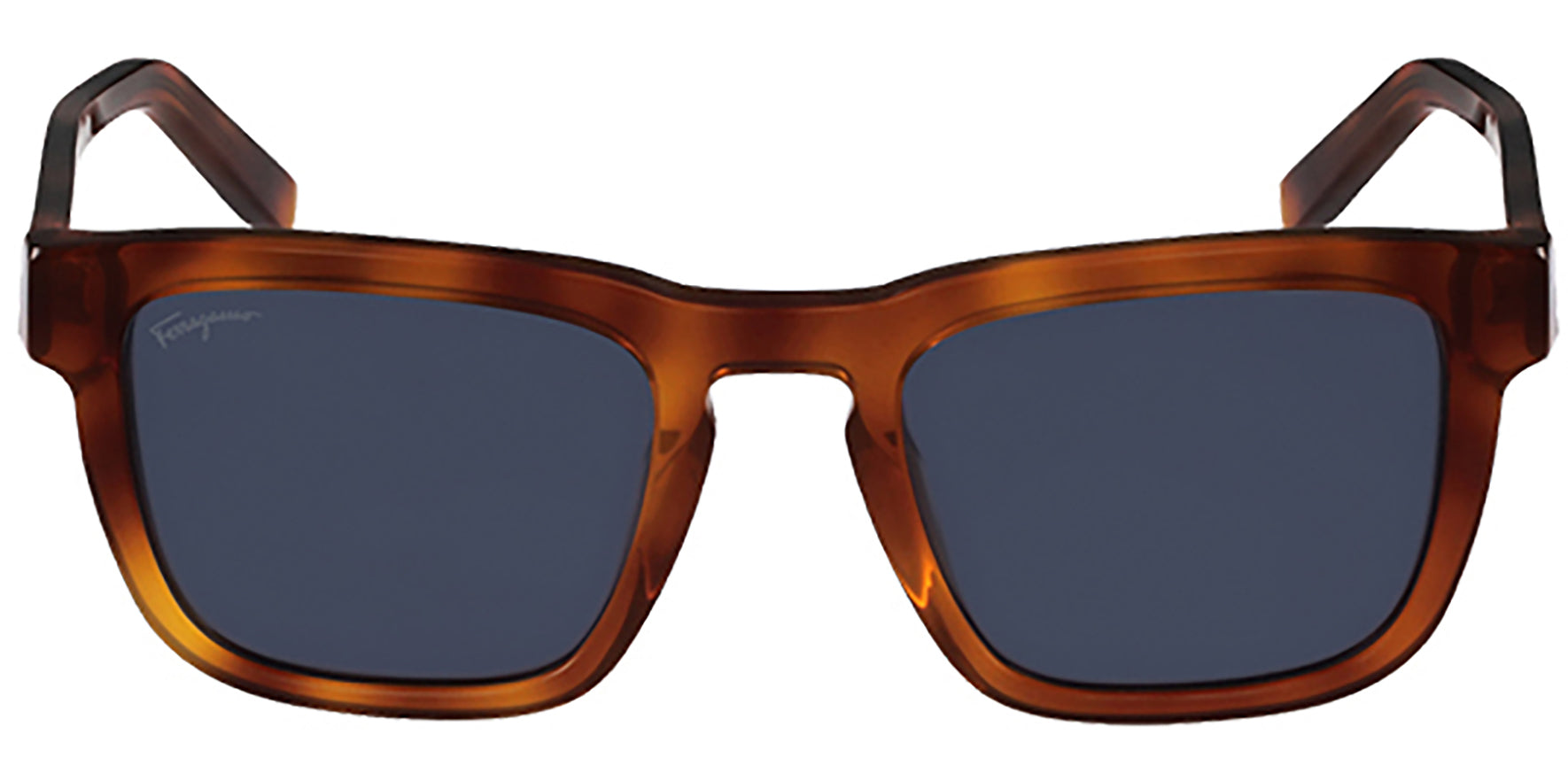 Salvatore Ferragamo Polarized Light Tortoise - Eyedictive