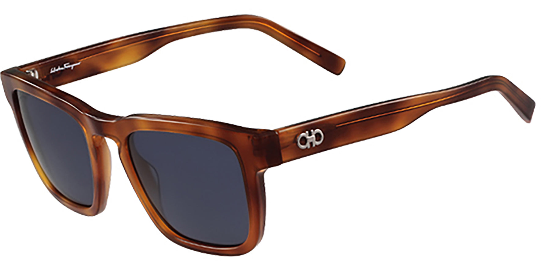 Salvatore Ferragamo Polarized Light Tortoise - Eyedictive