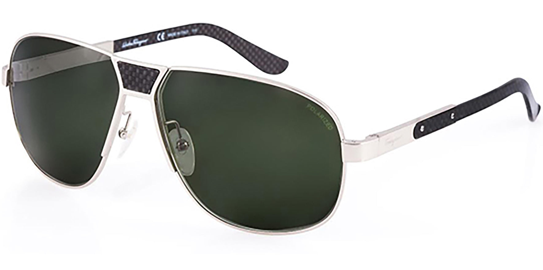 Ferragamo Polarized - Eyedictive