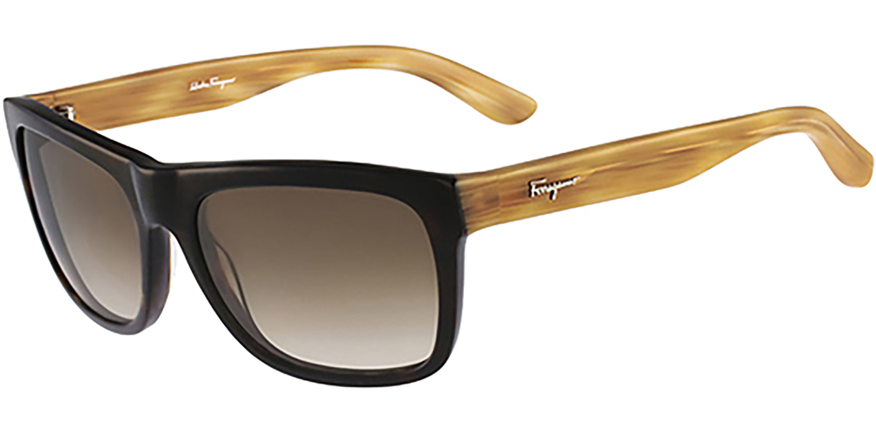 Salvatore Ferragamo Two-Tone Havana Classic - Eyedictive