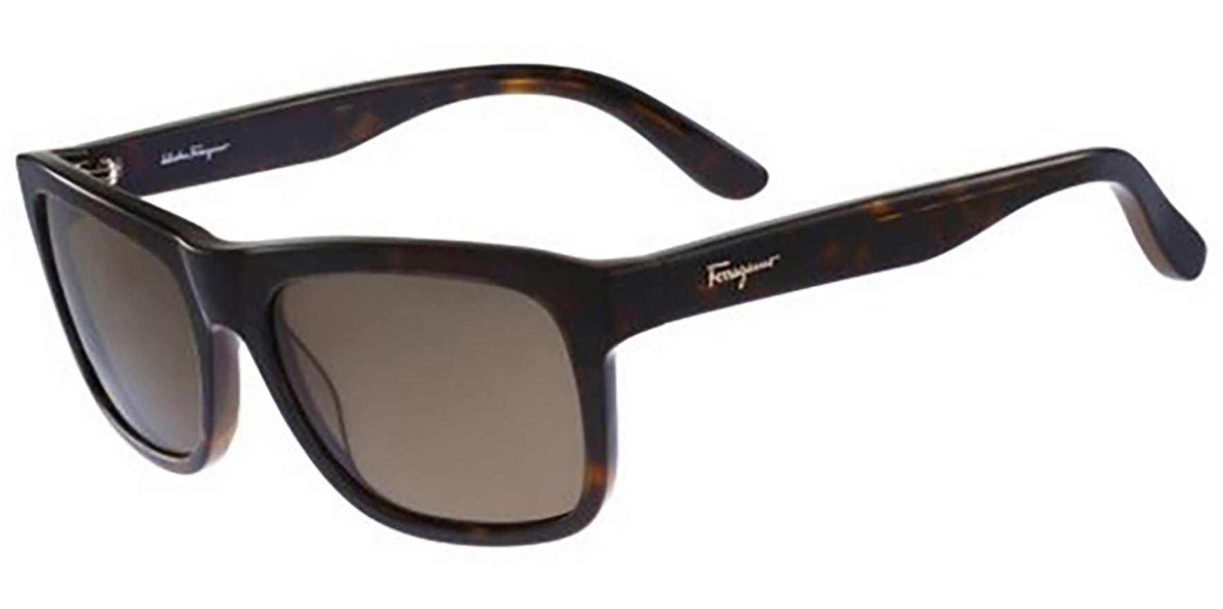 Salvatore Ferragamo Polarized Classic - Eyedictive