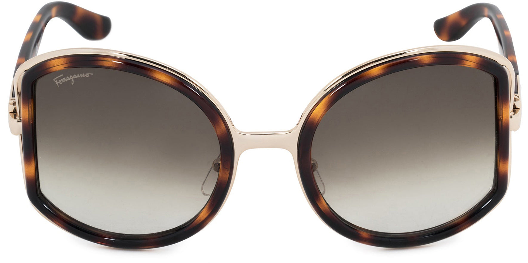 Salvatore Ferragamo Dark Tortoiseshell Oversize - Eyedictive