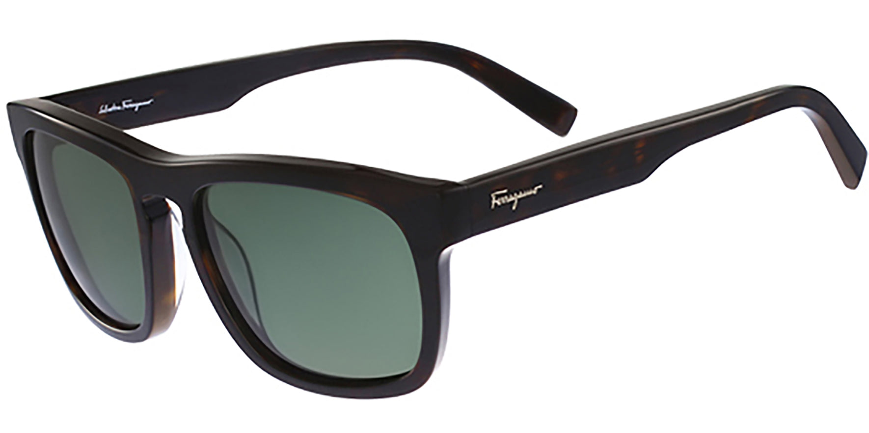 Salvatore Ferragamo Polarized Classic Square - Eyedictive