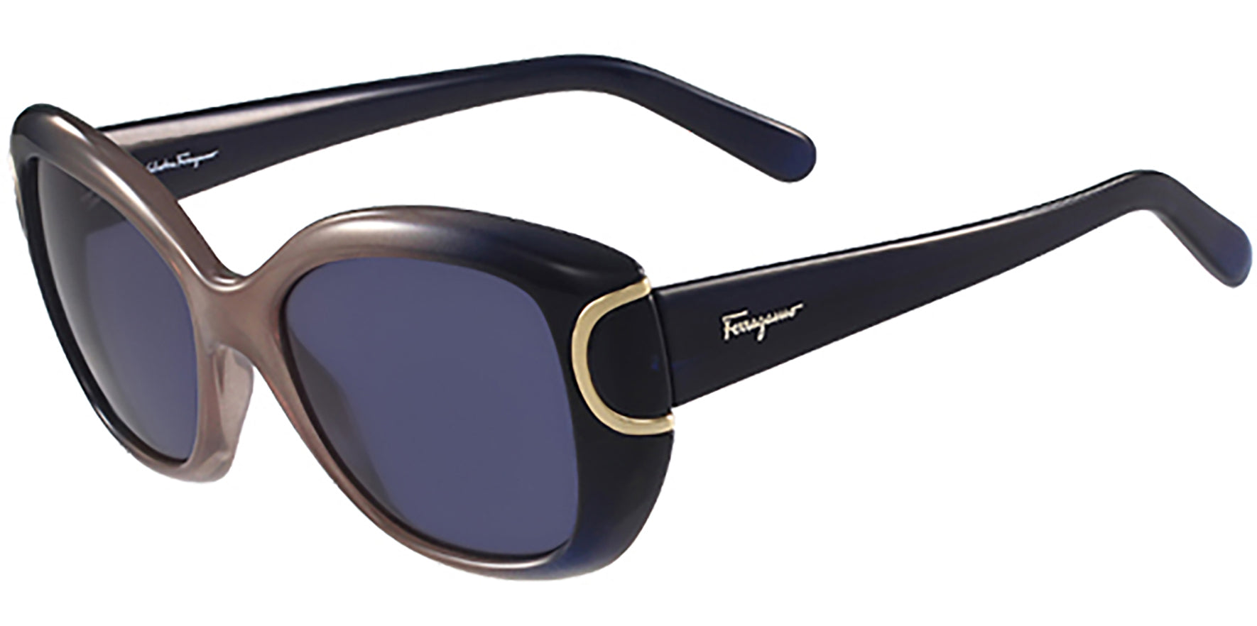 Salvatore Ferragamo Signature Blue Turtle - Eyedictive