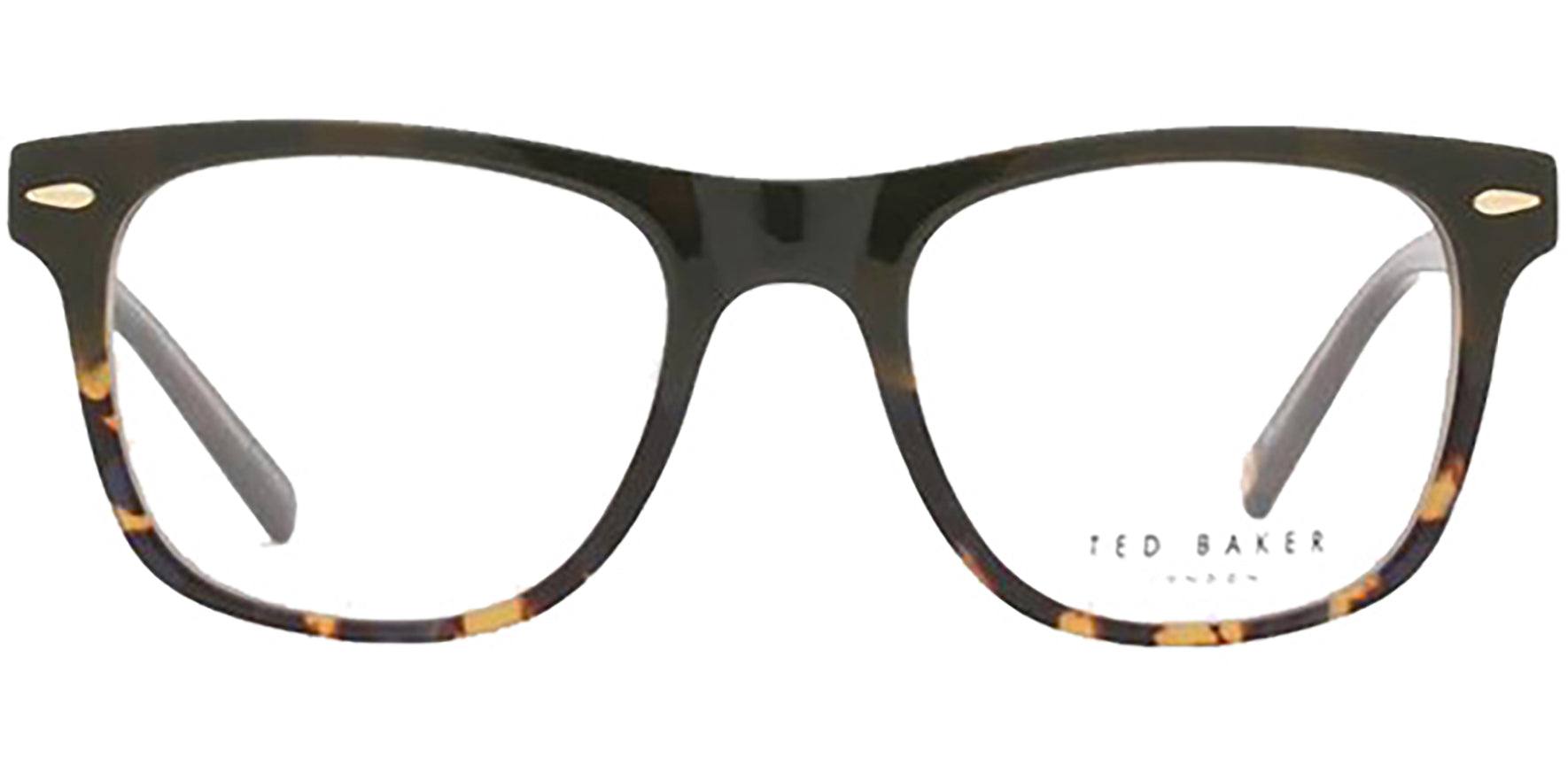 Ted Baker Optical Olive Tortoise Square - Eyedictive