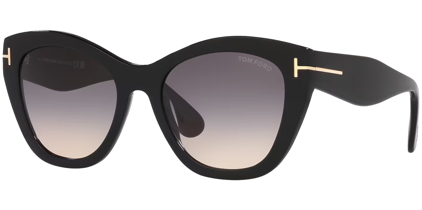 Tom Ford Cara Chunky Black Cat Eye w/ Double Gradient Lens - Eyedictive