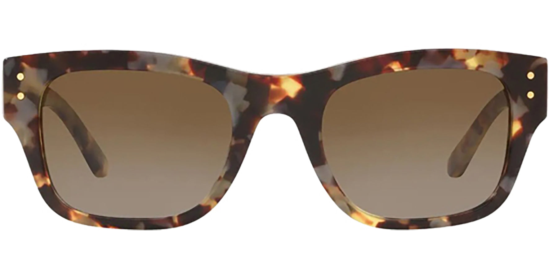 Tory Burch Polarized Porcini Tortoise Square w/ Gradient Lens - Eyedictive