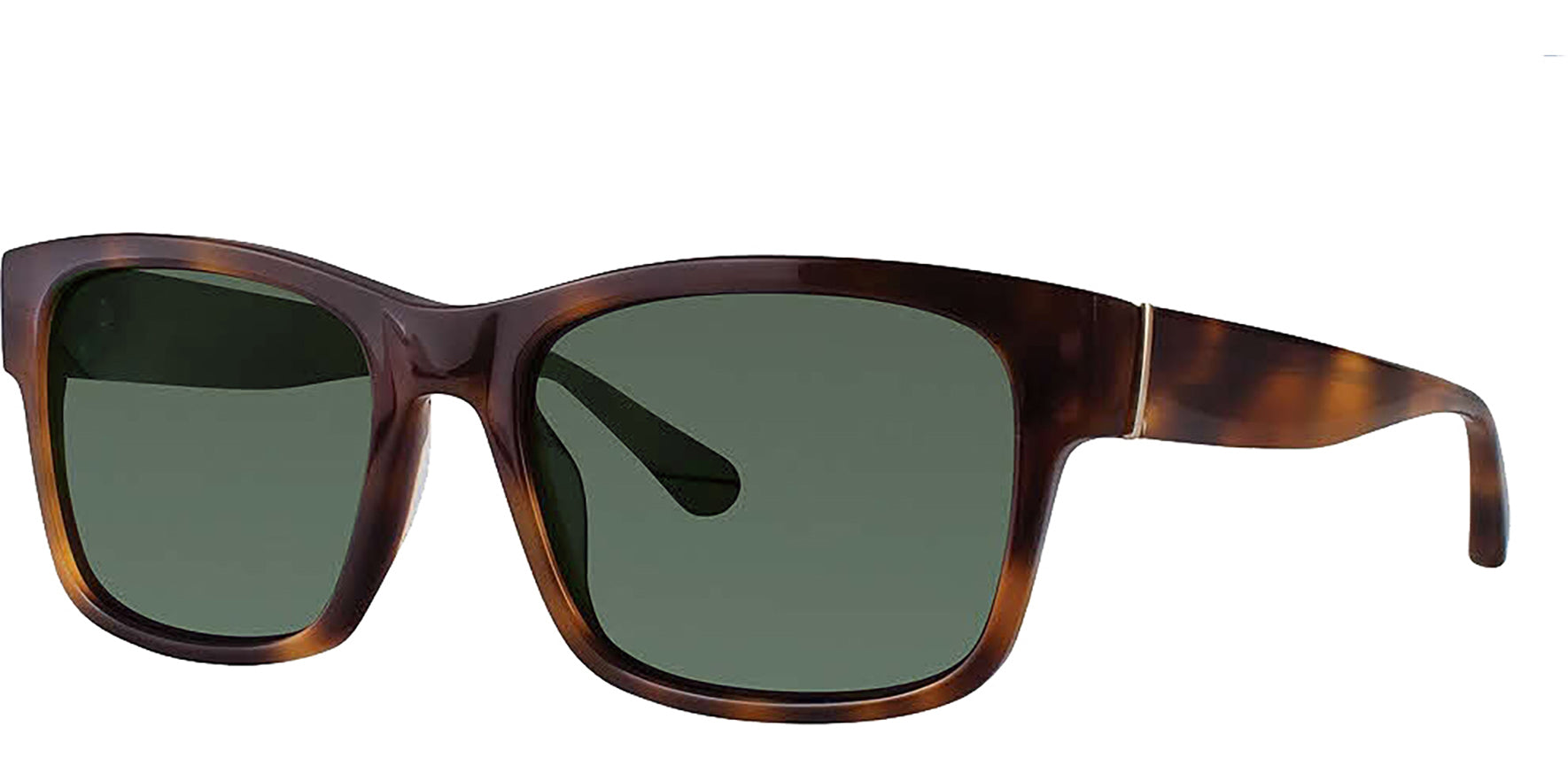 Zac Posen Culver Tortoise Square Classic - Eyedictive