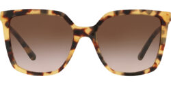 Tory Burch Tokyo Tortoise Butterfly w/ Gradient Lens