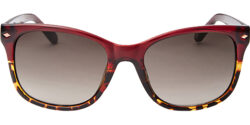 Fossil Neely Burgundy Classic w/ Gradient Lens