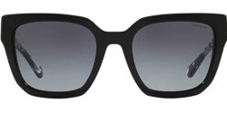 Coach Black Square w/ Crystal Tortoise Temples